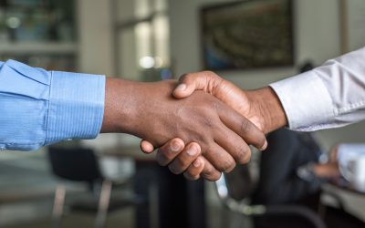 Employee background checks: everything you need to know