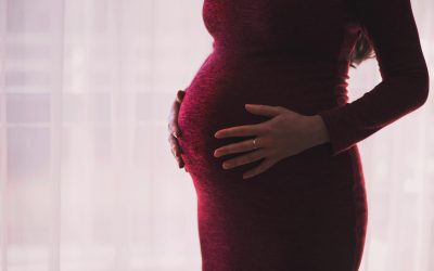 What should be included in a pregnancy risk assessment