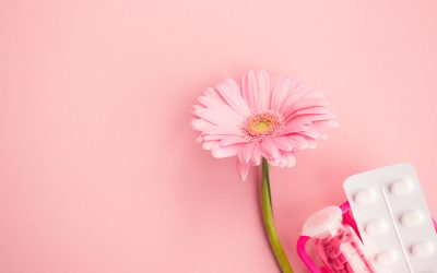 Newsflash: Government appoints Menopause Employment Champion